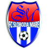 Slobozia logo