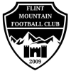 Flint Mountain logo