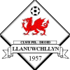 Llanuwchllyn logo