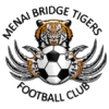 Menai Bridge Tigers logo