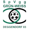 Deggendorf logo