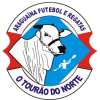 Araguaina logo