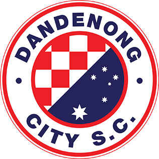 Dandenong City U-23 logo