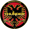 Dandenong Thunder U-23 logo