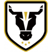 Bulls Academy logo