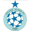 Silver Stars logo