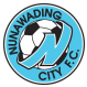Nunawading City logo