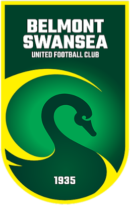 Belmont Swansea logo