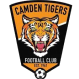 Camden Tigers logo