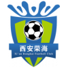 Shanxi Chongde logo