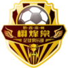 Qianxinan Xu Fengtang logo