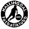 Hallingdal logo