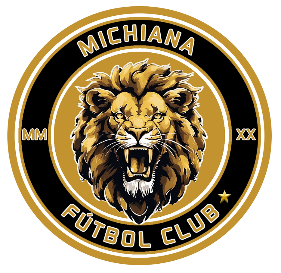 Michiana Lions logo
