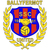 Ballyfermot logo