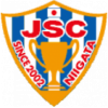 Japan Soccer logo