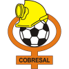 Cobresal W logo