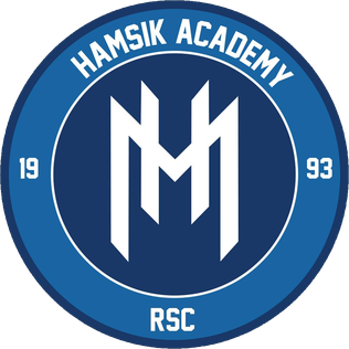 Hamsik Academy U-19 logo