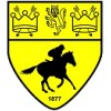 Newmarket FC logo