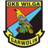 Wilga Garwolin logo