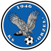 Zabkowice Slaskie logo
