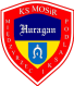 Miedzyrzec Podlaski logo