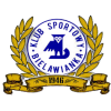 Bielawa logo