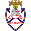 Feirense U-19 logo