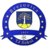 Brezovica logo