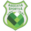 USV Iasi logo