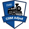 CSM Adjud logo