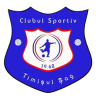 Timisul Sag logo