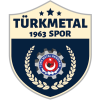 Turk Metal 1963 logo