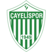 Cayelispor logo