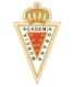 Academico Murcia U-19 logo