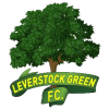 Leverstock Green logo