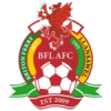 Briton Ferry W logo