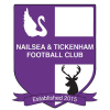 Nailsea and Tickenham FC logo
