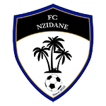 NZidane logo