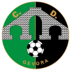 Gevora logo