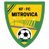Mitrovica logo