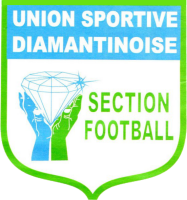 Diamantinoise logo