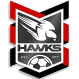 Holland Park U-23 logo