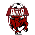 Banyule City W logo