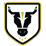 Bulls Academy U-20 logo