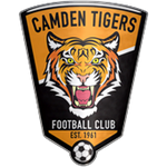 Camden Tigers U-20 logo