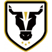 Bulls Academy W logo