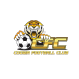 Cooma Tigers U-23 logo