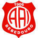 Inter de Bebedouro logo