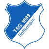 Hoffenheim U-17 logo