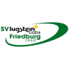 Friedburg logo